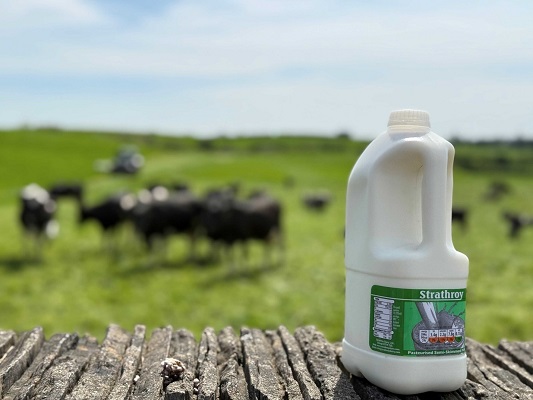 Pioneering high yield recycling solutions for a circular plastic economy