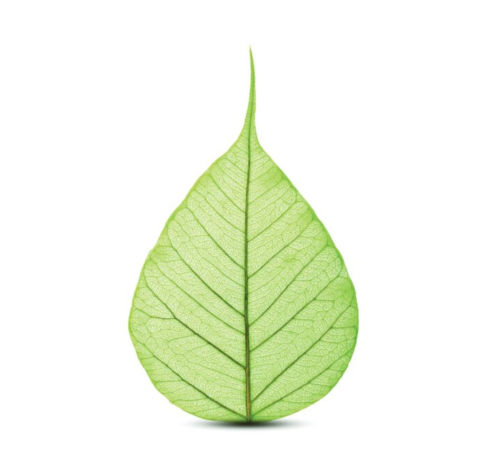 SABIC is now offering bio-based versions of all NORYL, Flexible NORYL, NORYL GTX and NORYL PPX resin grades to help customers meet increasingly rigorous sustainability goals.