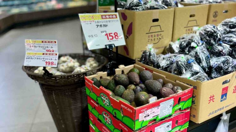 Westfalia Fruit Outlines the Next Phase of Avocado Growth in Asia